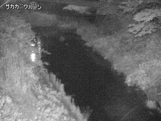 2025年06月17日00時00分の映像