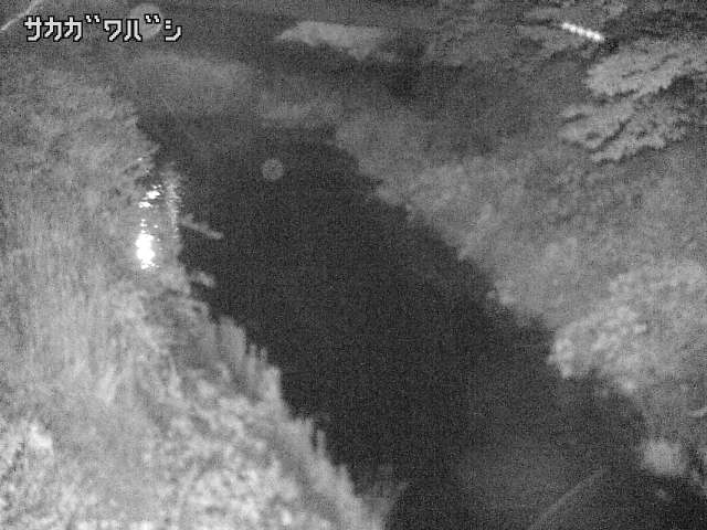 2025年06月17日01時00分の映像