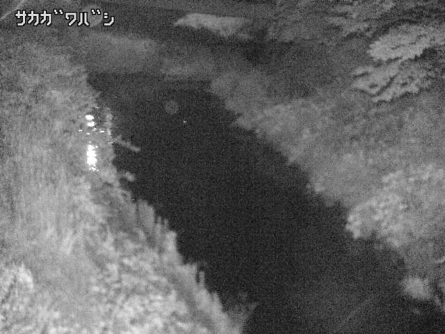 2025年06月17日02時00分の映像