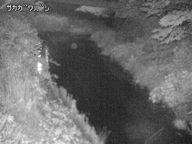 2025年06月17日03時00分の映像