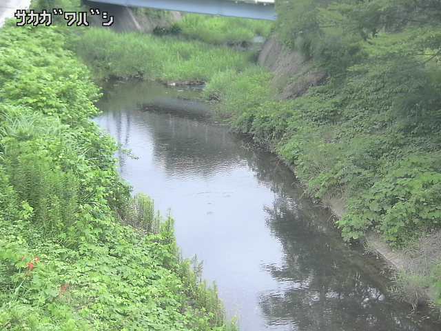 2025年07月10日16時00分の映像