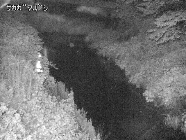 2025年07月10日20時00分の映像