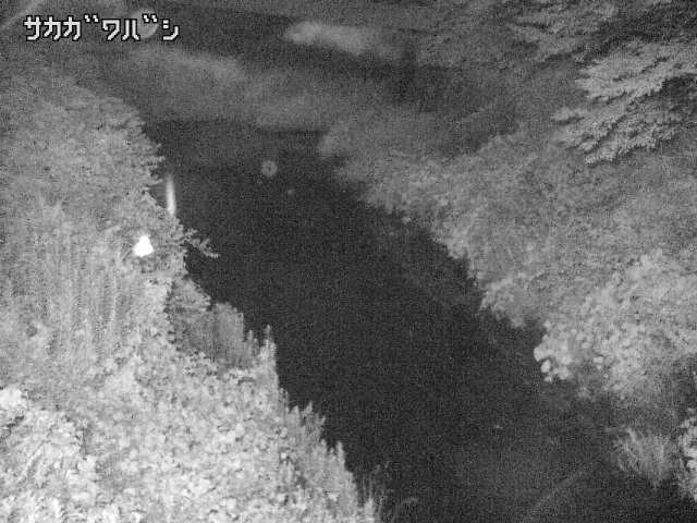 2025年07月11日01時00分の映像