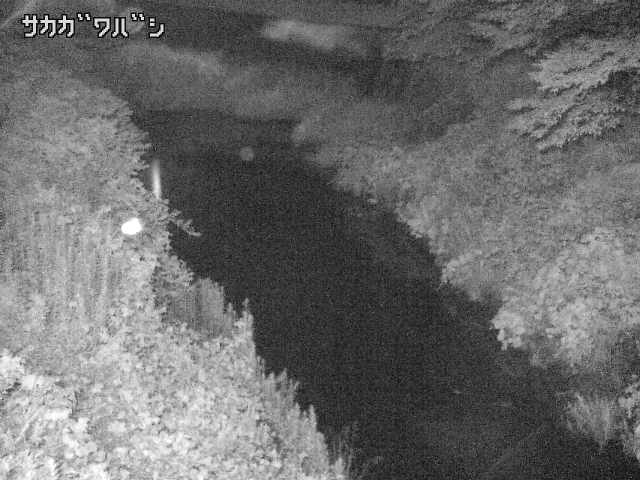 2025年07月11日02時00分の映像