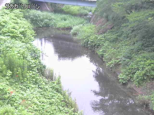 2025年07月11日05時00分の映像