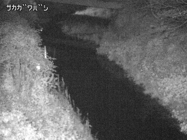 2025年09月15日04時00分の映像