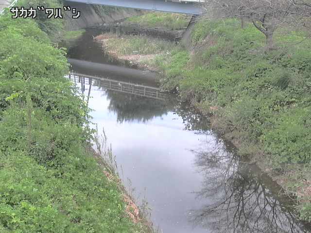 2025年09月15日11時00分の映像