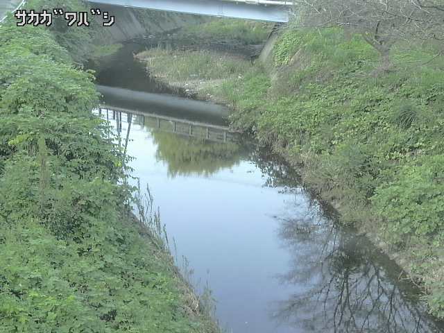 2025年09月15日16時00分の映像
