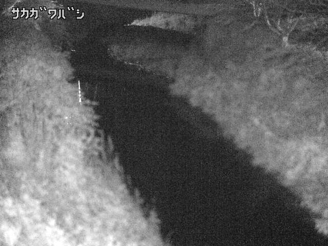 2025年09月15日20時00分の映像