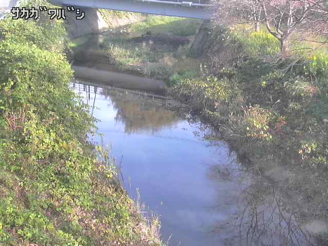 2025年11月05日08時00分の映像