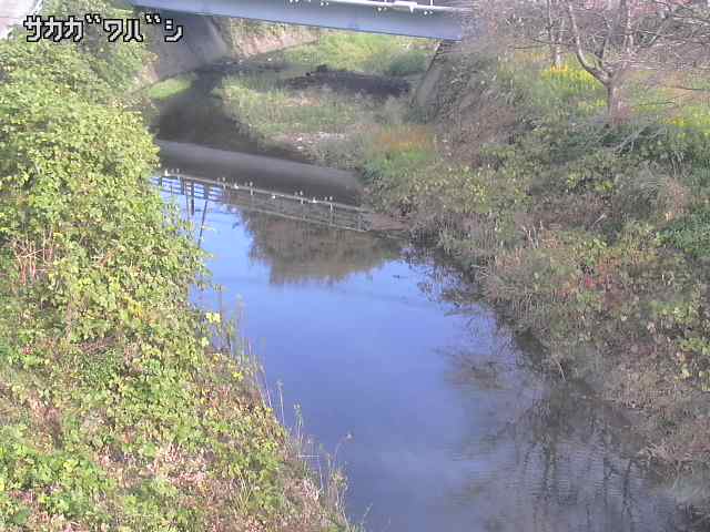 2025年11月05日09時00分の映像