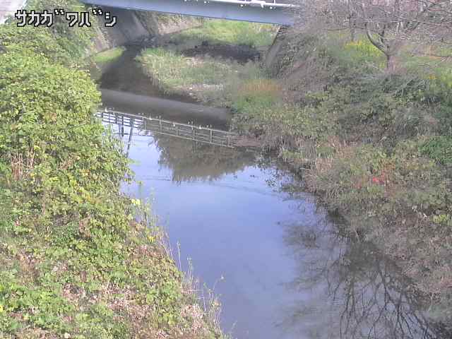 2025年11月05日10時00分の映像