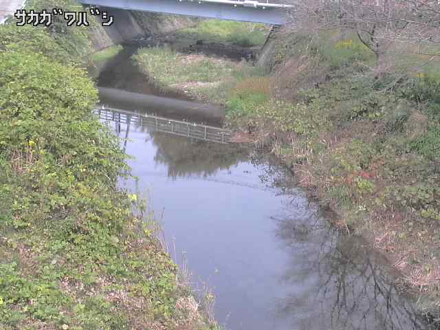 2025年11月05日11時00分の映像