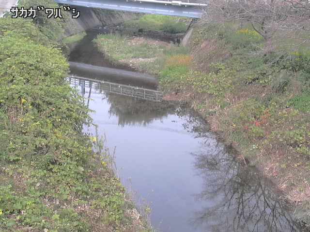 2025年11月05日12時00分の映像