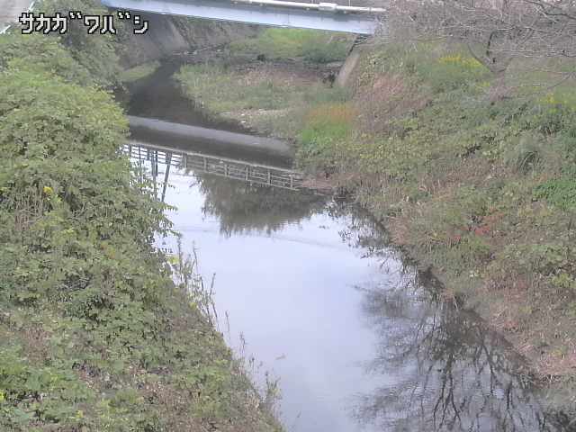 2025年11月05日14時00分の映像