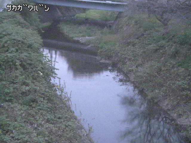 2025年11月05日17時00分の映像