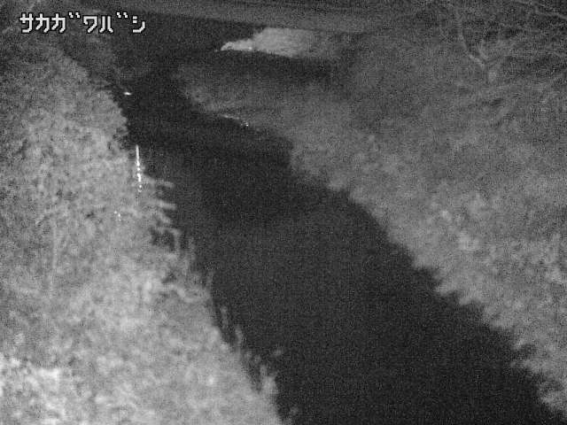 2025年11月05日18時00分の映像