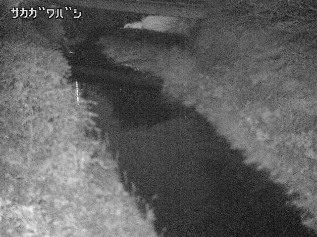 2025年11月05日20時00分の映像