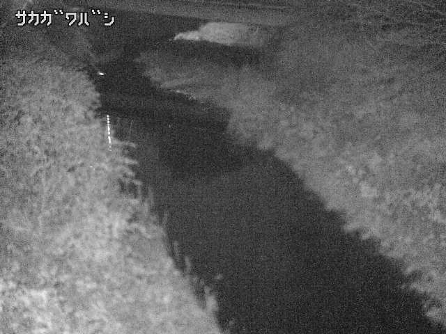 2025年11月05日21時00分の映像