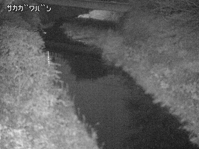 2025年11月06日00時00分の映像