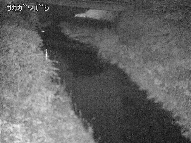 2025年11月06日02時00分の映像