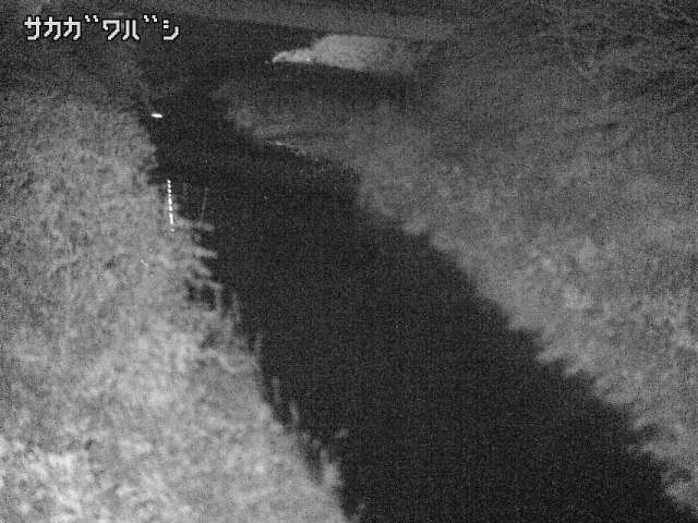 2025年11月06日05時00分の映像