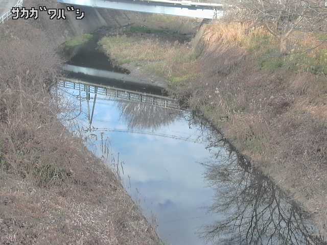 2025年12月20日14時00分の映像