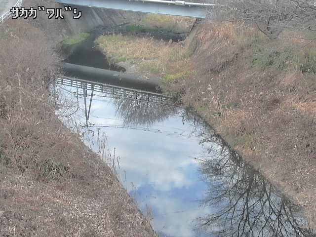 2025年12月20日15時00分の映像