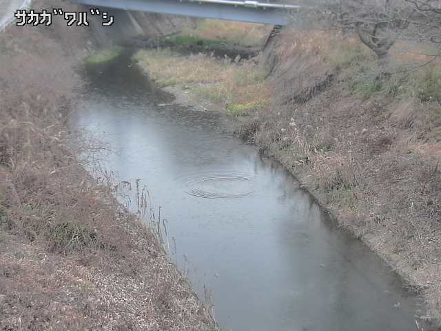 2025年12月20日16時00分の映像