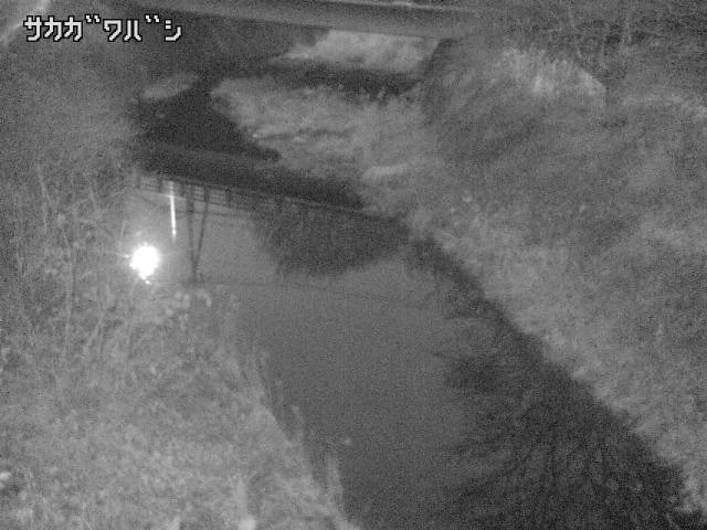 2025年12月20日17時00分の映像