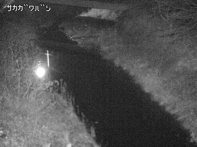 2025年12月20日18時00分の映像