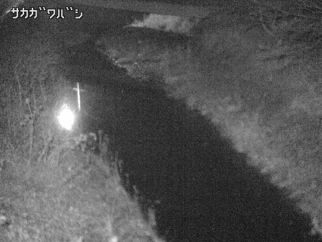 2025年12月20日19時00分の映像