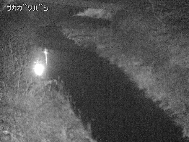 2025年12月20日21時00分の映像