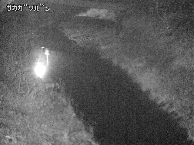 2025年12月20日22時00分の映像