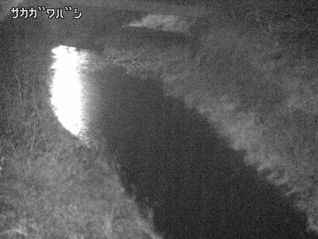 2025年12月20日23時00分の映像