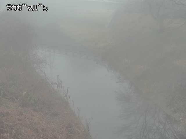 2025年12月21日08時00分の映像