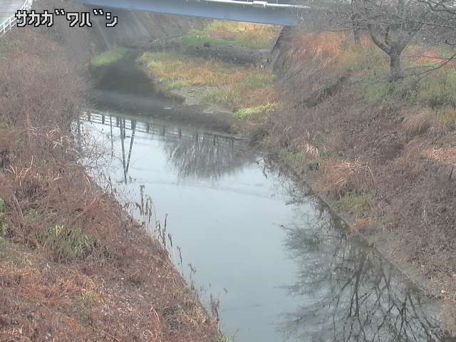 2025年12月21日10時00分の映像