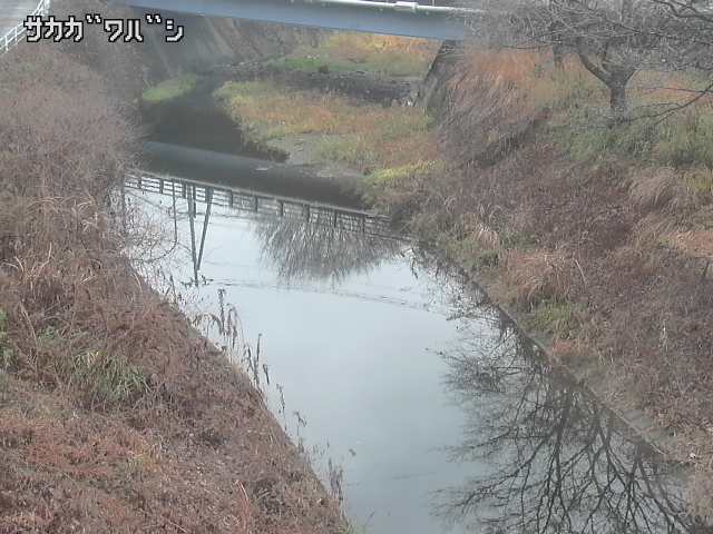 2025年12月21日11時00分の映像