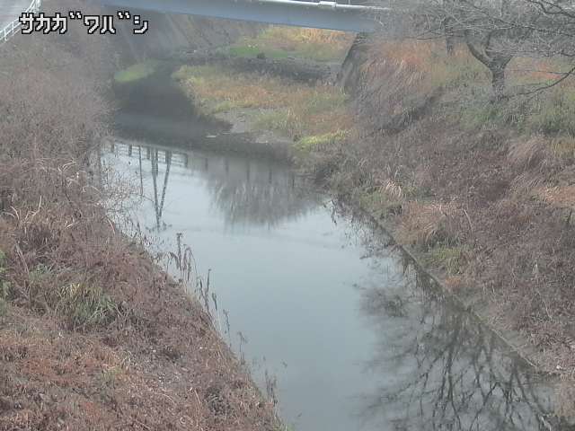 2025年12月21日12時00分の映像