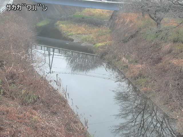 2025年12月21日13時00分の映像