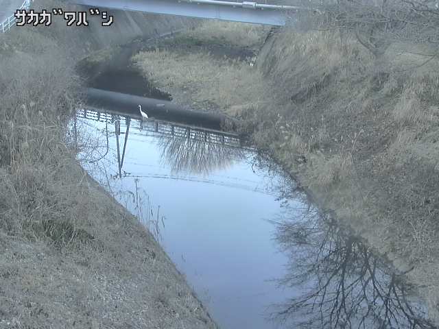 2026年02月03日16時00分の映像