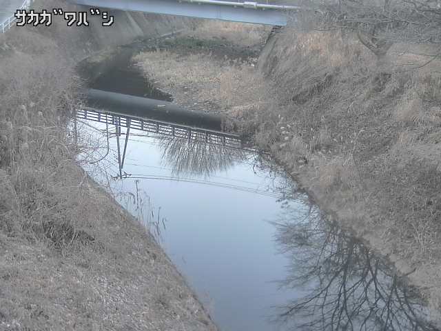 2026年02月03日17時00分の映像