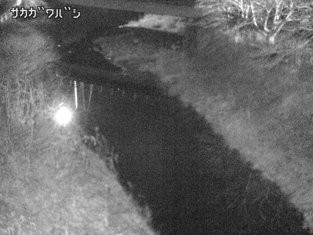 2026年02月03日18時00分の映像