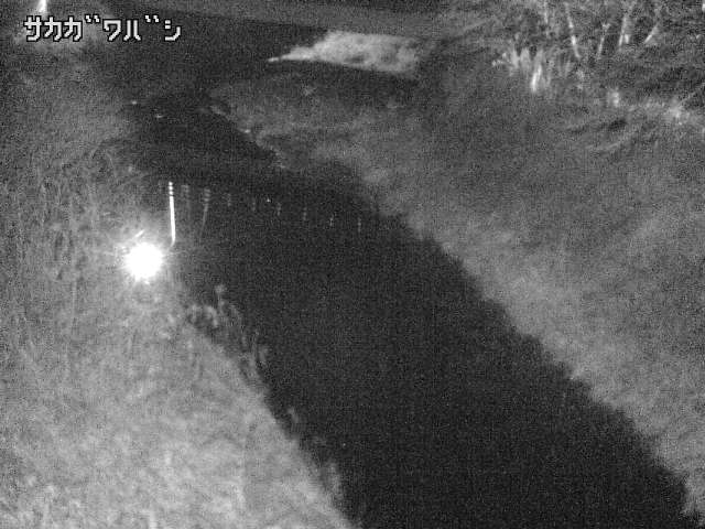 2026年02月03日19時00分の映像