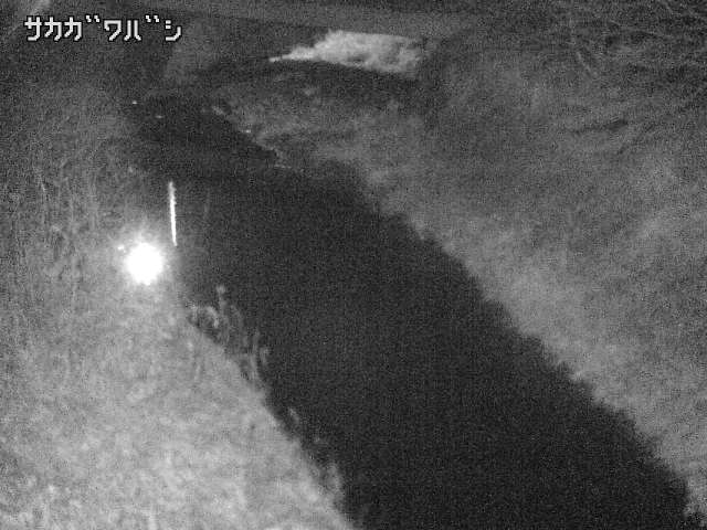 2026年02月03日20時00分の映像