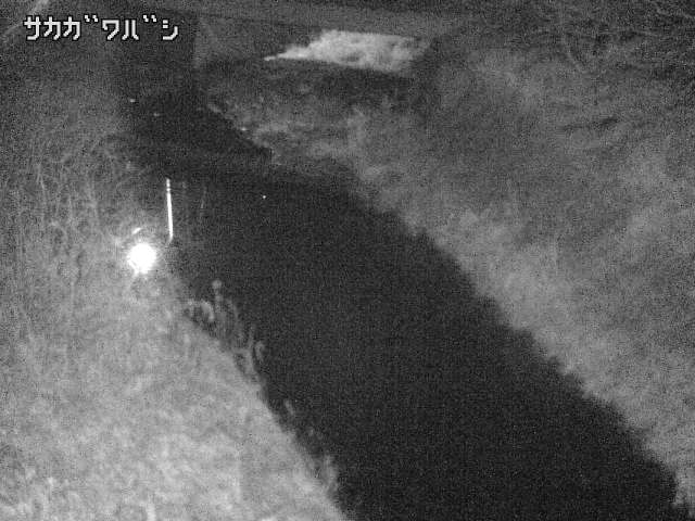 2026年02月03日21時00分の映像