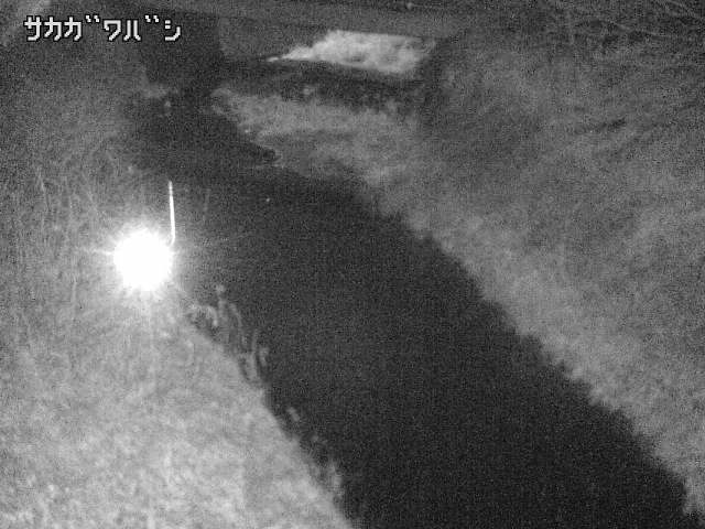 2026年02月03日23時00分の映像