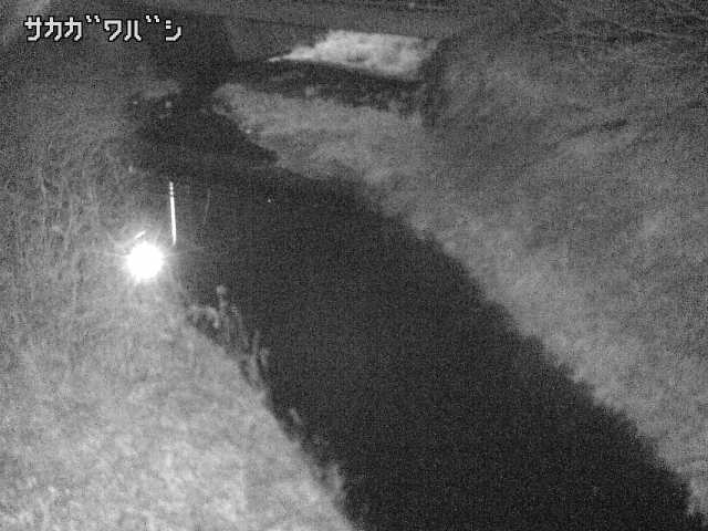 2026年02月04日00時00分の映像