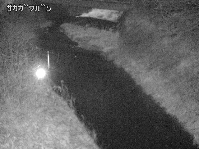 2026年02月04日01時00分の映像