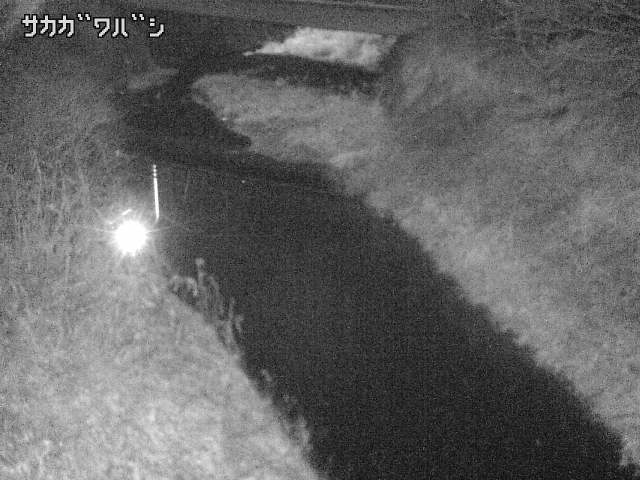 2026年02月04日02時00分の映像